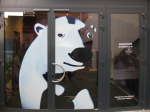 IMG-3748
